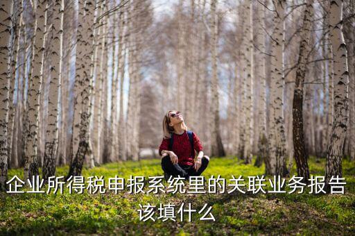什么情況寫關(guān)聯(lián)申報(bào)，企業(yè)所得稅申報(bào)系統(tǒng)里的關(guān)聯(lián)業(yè)務(wù)報(bào)告該填什么