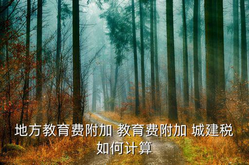 地方教育稅是什么意思，酒店會(huì)計(jì)酒店要交營業(yè)稅城建稅教育費(fèi)附加地教稅印花稅土地