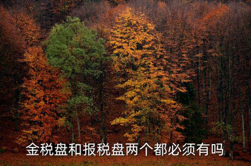申報(bào)盤是什么，保險(xiǎn)兼業(yè)代理人資格申報(bào)電腦數(shù)據(jù)盤是什么意思