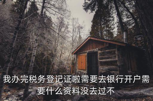 稅務(wù)登記以后需要什么資料，辦理稅務(wù)登記證都需要提供什么資料