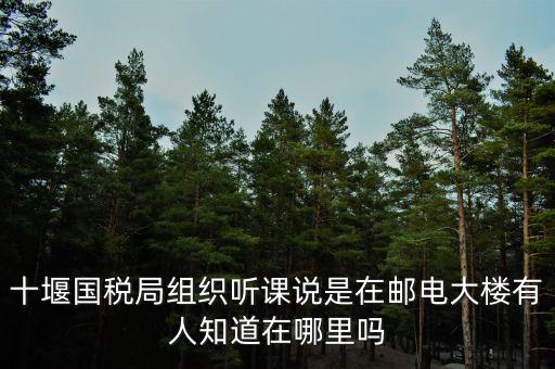 十堰國稅六辦指什么地方，十堰國稅局組織聽課說是在郵電大樓有人知道在哪里嗎