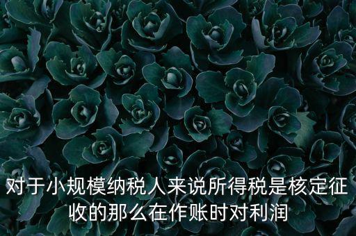 對(duì)于小規(guī)模納稅人來(lái)說所得稅是核定征收的那么在作賬時(shí)對(duì)利潤(rùn)
