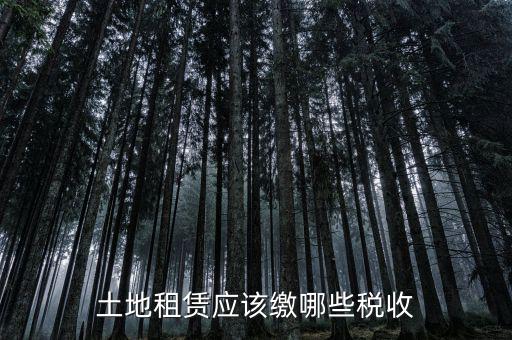 土地租賃需要交什么稅，土地租賃應(yīng)該繳哪些稅收