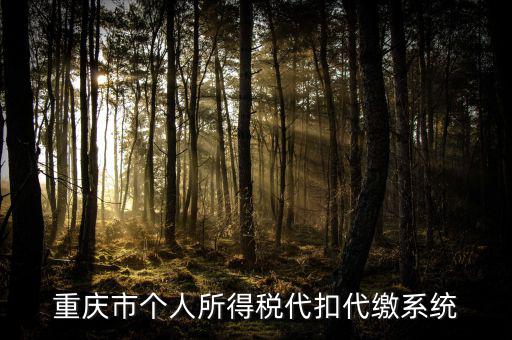 重慶網上繳稅什么網址，重慶市國稅網網址是多少