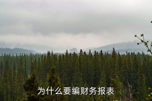 為什么要申報財務(wù)報表，為什么要編財務(wù)報表