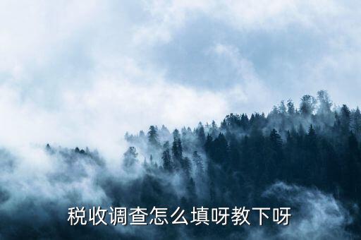 稅收調(diào)查主要調(diào)查什么，企業(yè)所得稅稅收調(diào)查
