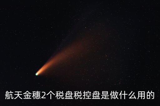 開票軟件兩盤是什么，第二個金稅盤裝開票軟件裝不了也沒有完全安裝這一步啥意思