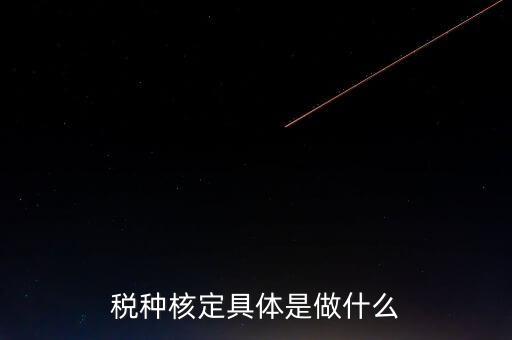票中核定是什么核定的，哪些情況下要進行國稅票種核定