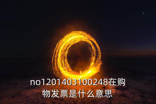 湖南發(fā)票號碼是什么意思，發(fā)票參考號是什么意思