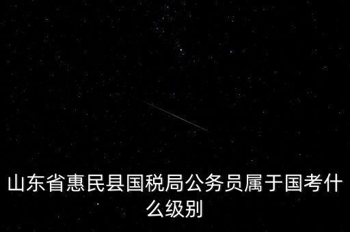 惠民國稅局在什么地方，國稅局在哪里