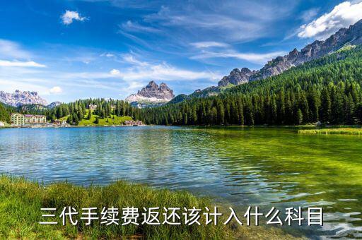 什么叫三代手續(xù)費，三代手續(xù)費返還該計入什么科目