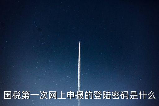所得稅清算登陸密碼是什么，國稅第一次網(wǎng)上申報(bào)的登陸密碼是什么