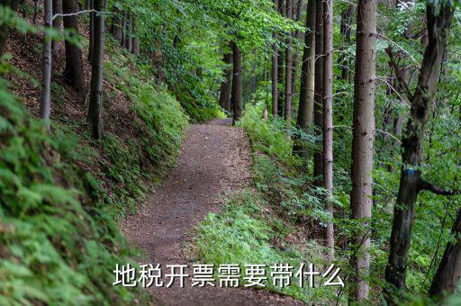 地稅開(kāi)票需要帶什么