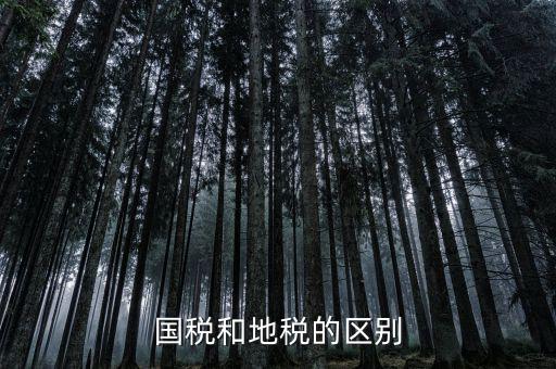 稅務(wù)和地稅什么區(qū)別，國(guó)稅和地稅的區(qū)別