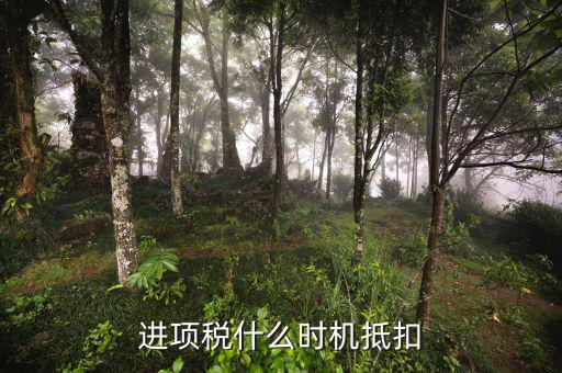 認(rèn)證的進(jìn)項(xiàng)稅什么時(shí)候抵扣，進(jìn)項(xiàng)稅什么時(shí)機(jī)抵扣