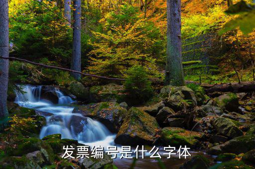 發(fā)票上的號(hào)碼是什么字體，發(fā)票編號(hào)是什么字體