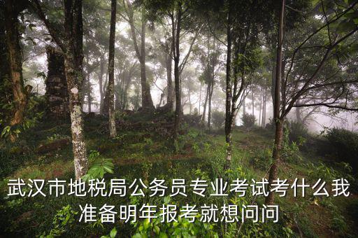 省地稅局復(fù)試考什么，武漢市地稅局公務(wù)員專業(yè)考試考什么我準(zhǔn)備明年報考就想問問