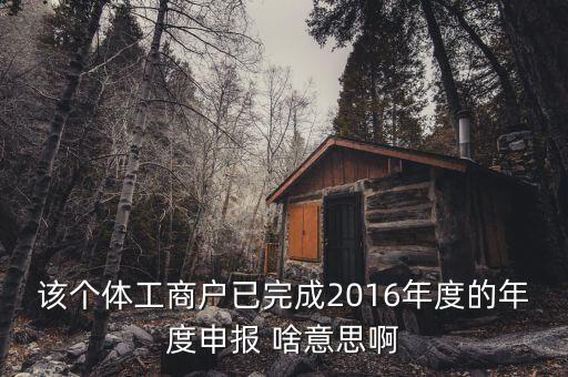 個(gè)體戶申報(bào)是什么意思，該個(gè)體工商戶已完成2016年度的年度申報(bào) 啥意思啊