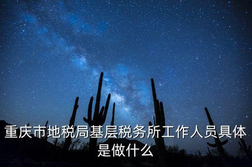 重慶地稅局前臺(tái)做什么的，重慶市地稅局基層稅務(wù)所工作人員具體是做什么