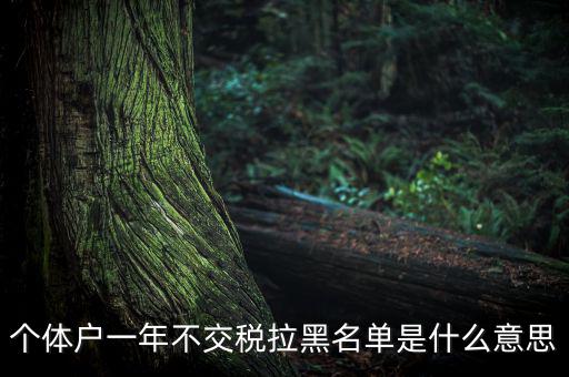 什么是納稅信用黑名單，個(gè)體戶一年不交稅拉黑名單是什么意思