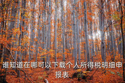 下載什么看申報(bào)稅，誰(shuí)知道在哪可以下載個(gè)人所得稅明細(xì)申報(bào)表