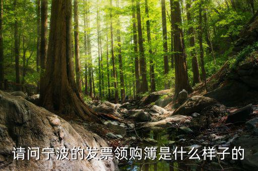 發(fā)票領用簿什么樣子，會計發(fā)票領購沒經(jīng)驗想請問領購的發(fā)票時什么樣的有金額顯示嗎
