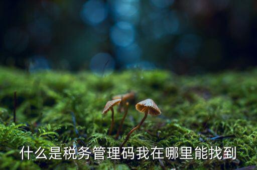 汽車保險稅務(wù)登記號是什么，稅務(wù)登記號查詢