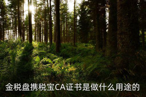 金稅盤攜稅寶CA證書是做什么用途的