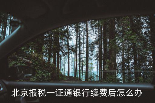 北京稅務一證通是什么，北京 辦理一證通年費什么時候交