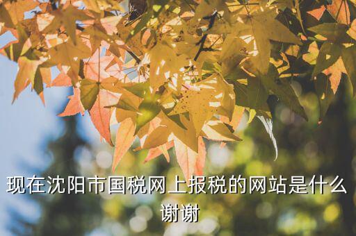 國稅交稅的網(wǎng)站是什么，現(xiàn)在沈陽市國稅網(wǎng)上報稅的網(wǎng)站是什么 謝謝