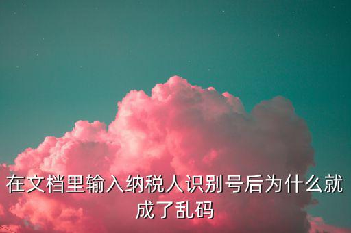 個稅導(dǎo)入模板為什么是亂碼，在文檔里輸入納稅人識別號后為什么就成了亂碼