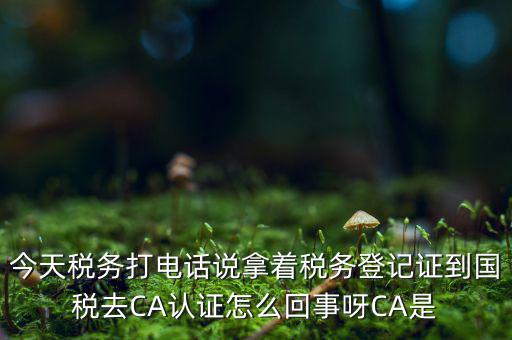 稅務局ca證書是什么，今天稅務打電話說拿著稅務登記證到國稅去CA認證怎么回事呀CA是