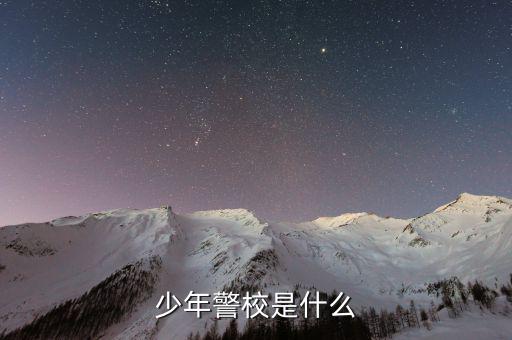 少年稅校是什么，少年警校是什么