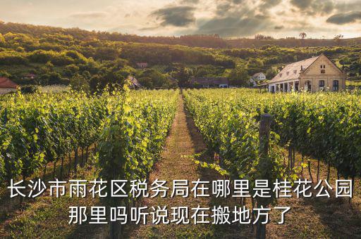 長沙國稅局在什么地方，長沙國稅局在哪