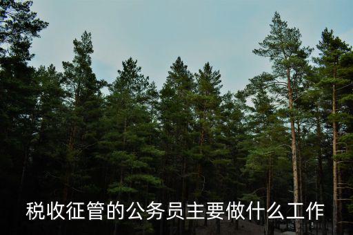 稅收管理員干什么的，稅收征管的公務(wù)員主要做什么工作