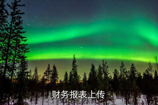 每年上傳什么財(cái)務(wù)報(bào)表，報(bào)哪些稅時(shí)需要上傳財(cái)務(wù)報(bào)表麻煩詳細(xì)一點(diǎn)報(bào)增值稅時(shí)怎樣上傳財(cái)