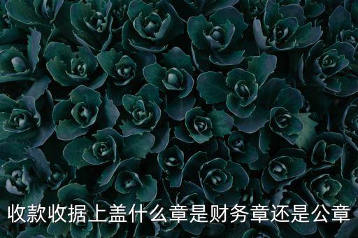 收款收據(jù)上蓋什么章是財務(wù)章還是公章