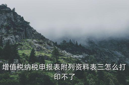 為什么打印不了附加稅申報(bào)表，納稅申報(bào)的報(bào)表打印不出來(lái)怎么辦