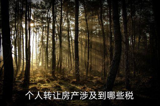 個(gè)人出售住房交什么稅，賣房子要交20的稅