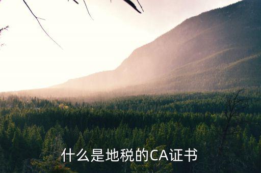 什么是地稅的CA證書(shū)