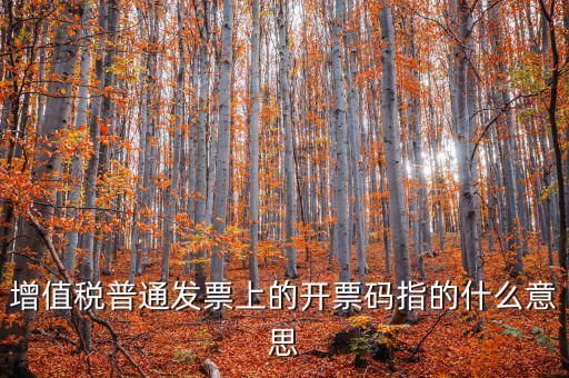 稅控盤(pán)開(kāi)票碼是什么意思，增值稅普通發(fā)票上的開(kāi)票碼指的什么意思