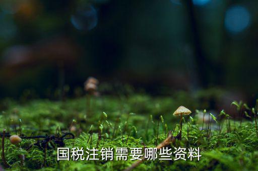 稅務(wù)注銷需要什么資料，請(qǐng)問注銷稅務(wù)登記證需要什么資料