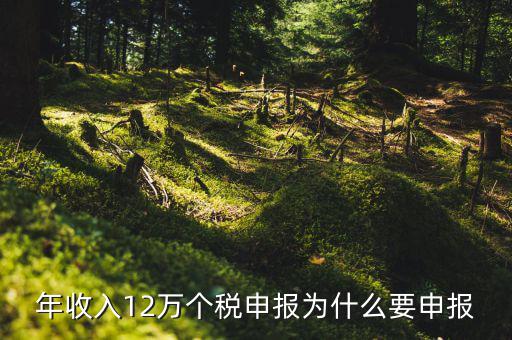 年收入12萬個(gè)稅申報(bào)為什么要申報(bào)