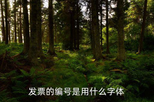 發(fā)票中公司字體是什么字體，發(fā)票的編號是用什么字體