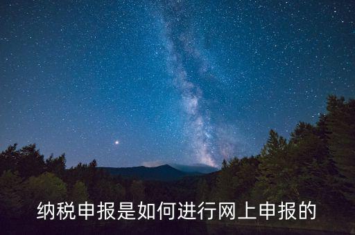 納稅人的網(wǎng)上申報(bào)屬于什么方式，網(wǎng)上申報(bào)屬于