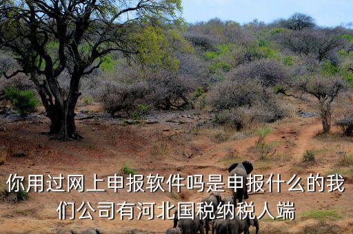 稅友報稅的軟件叫什么，你用過網(wǎng)上申報軟件嗎是申報什么的我們公司有河北國稅納稅人端