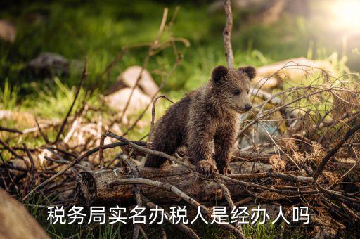 辦稅負(fù)責(zé)人是什么意思，現(xiàn)在實(shí)行的辦稅人員實(shí)名登記其中的財(cái)務(wù)負(fù)責(zé)人辦稅人員發(fā)票經(jīng)辦人