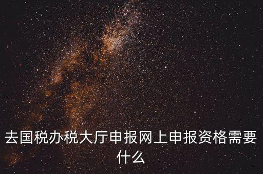國(guó)稅網(wǎng)上申報(bào)用什么，去國(guó)稅辦稅大廳申報(bào)網(wǎng)上申報(bào)資格需要什么