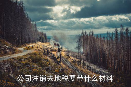 地稅稅務注銷需要什么，注銷公司地稅局需要的資料