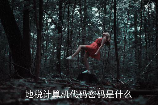 地稅稅務(wù)登陸密碼是什么意思，湖北地稅網(wǎng)絡(luò)發(fā)票登陸密碼是什么急急急